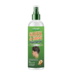 Sleek & Shine Hair Spray